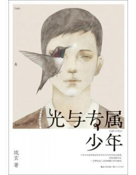 光与专属少年