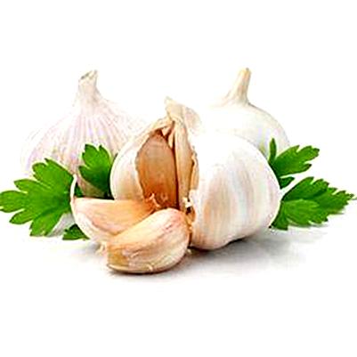 北董大蒜
