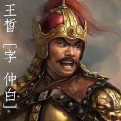 王皙