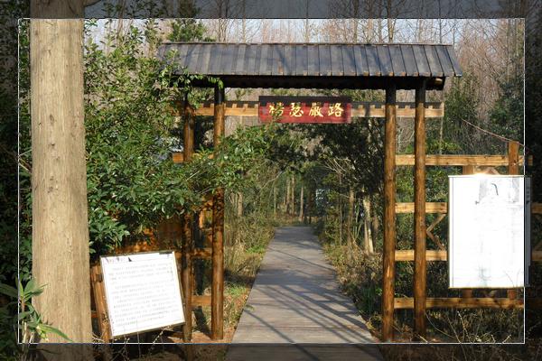楊瑟嚴(yán)