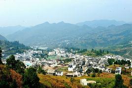 茶卓村