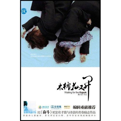 木棉花又開