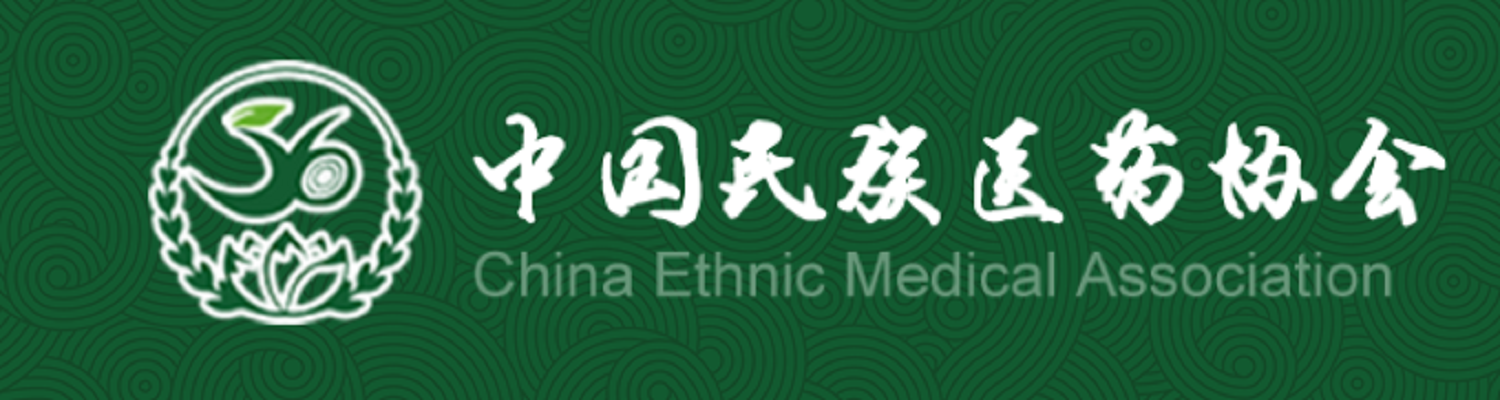 中国民族医药协会