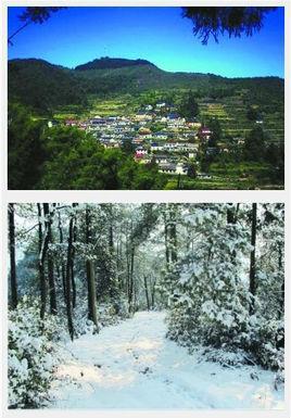 陈寮山