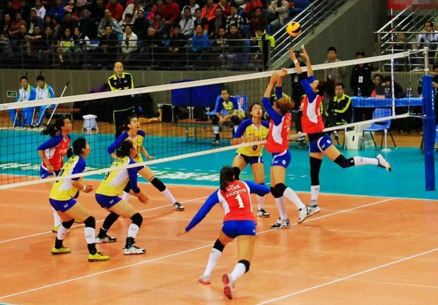 中國女子排球超級聯(lián)賽