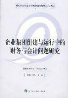 企业集团组建与运行中的财务与会计问题研究