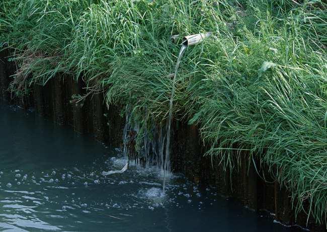 国际防止生活污水污染证书