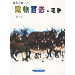 动物百态·驴