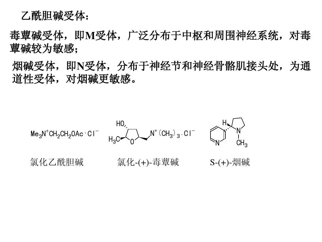 毒蕈碱受体