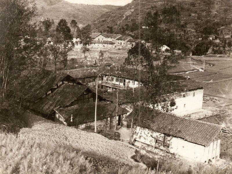 墊江縣沙河學(xué)校