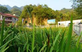 陳家河村
