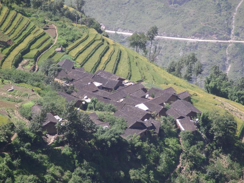 鹦哥村