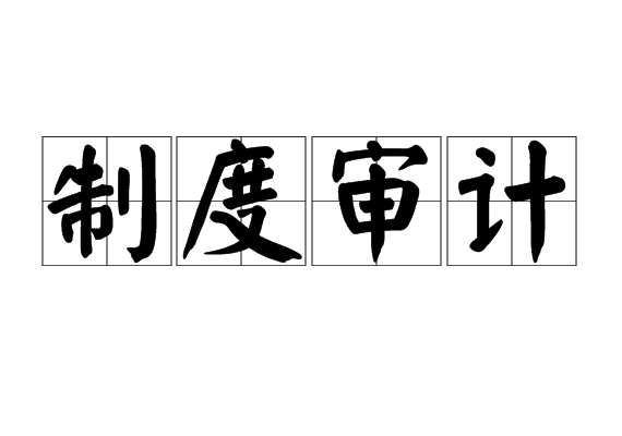 制度审计