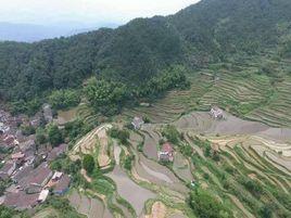 高源村