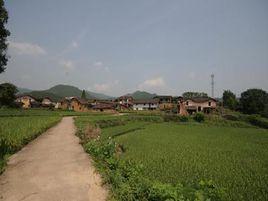平岭村