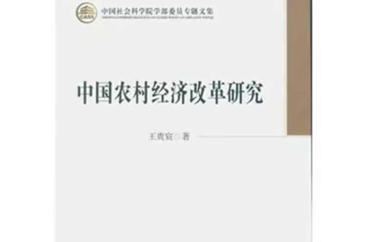 中国农村经济改革研究