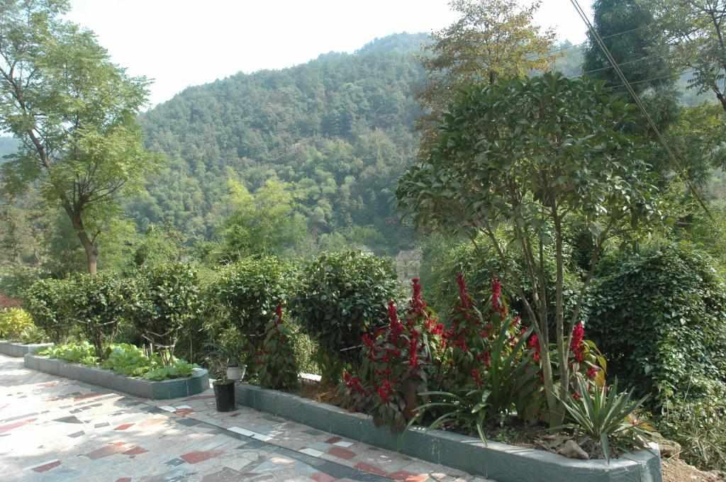 水涧村