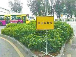 你丑你橫穿