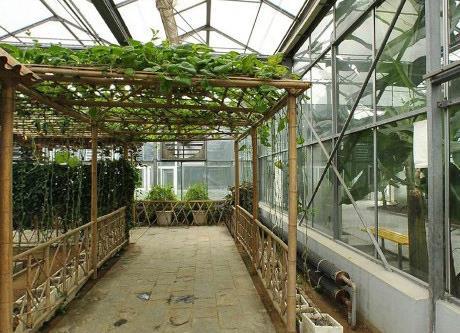 南宮地?zé)岵┯[園溫室公園