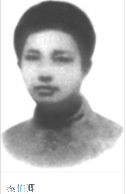 秦伯卿