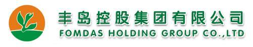豐島控股集團有限公司
