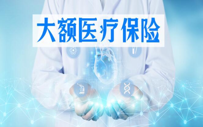 大额疾病医疗保险