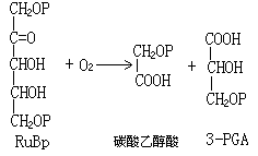 土壤－植物－大气连续体