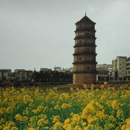 紫水塔
