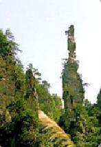 黄龙泉风景区