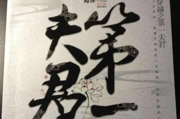 穿越之第一夫君