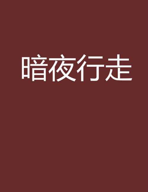暗夜行走