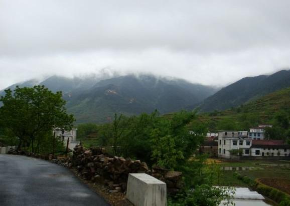 刘福桥村