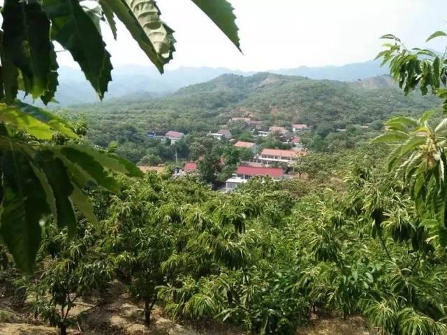 栗乡村