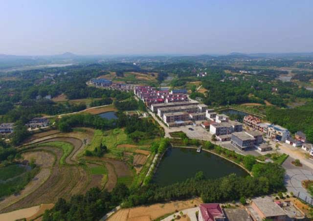 新集村