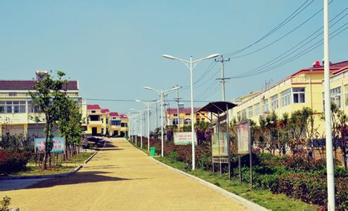 王新村
