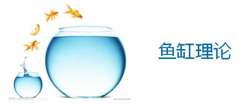 鱼缸理论