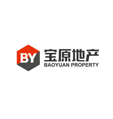 宝原地产