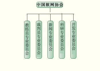 中国软式网球协会