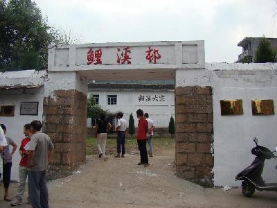 鲤溪村