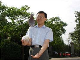 韩毅