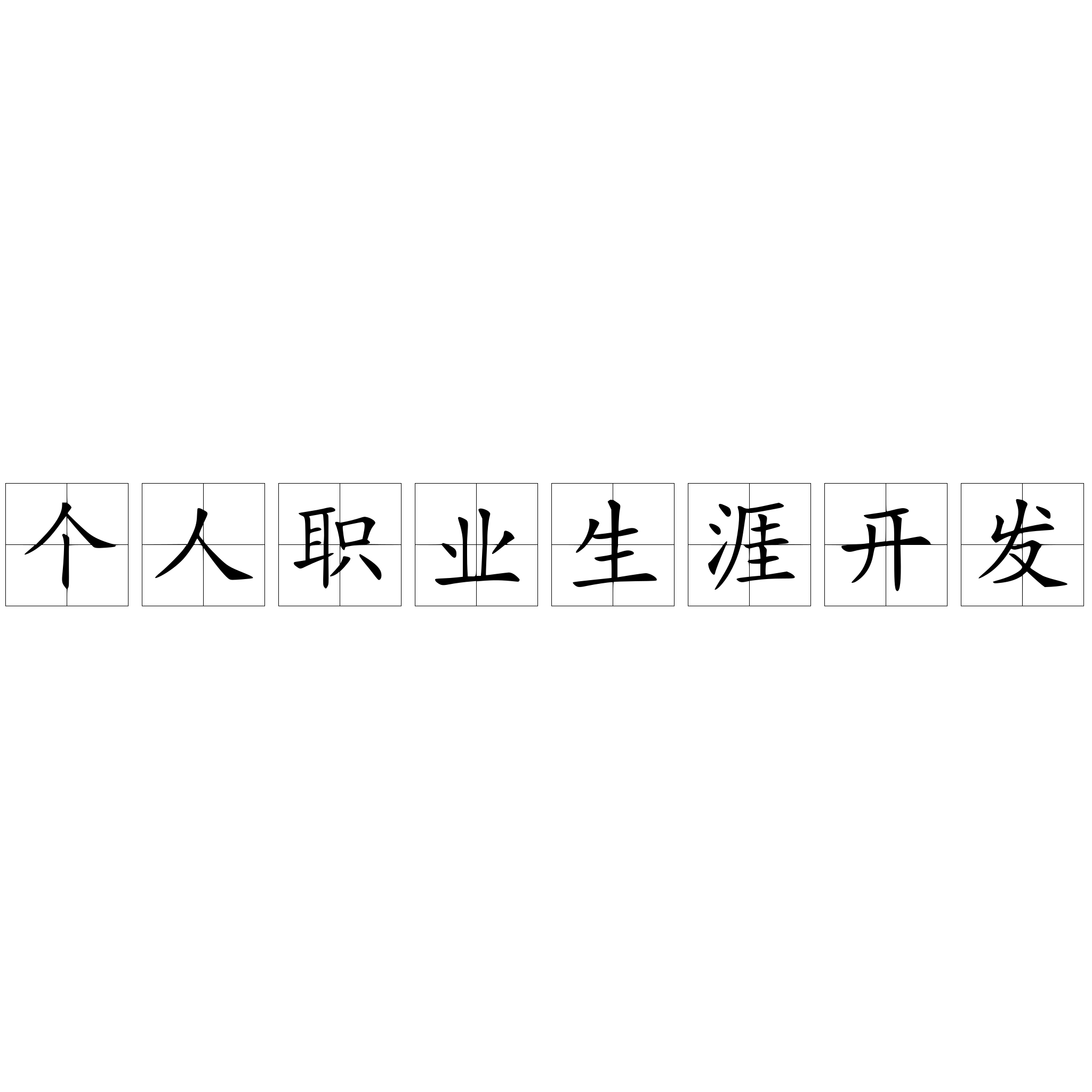 个人职业生涯开发