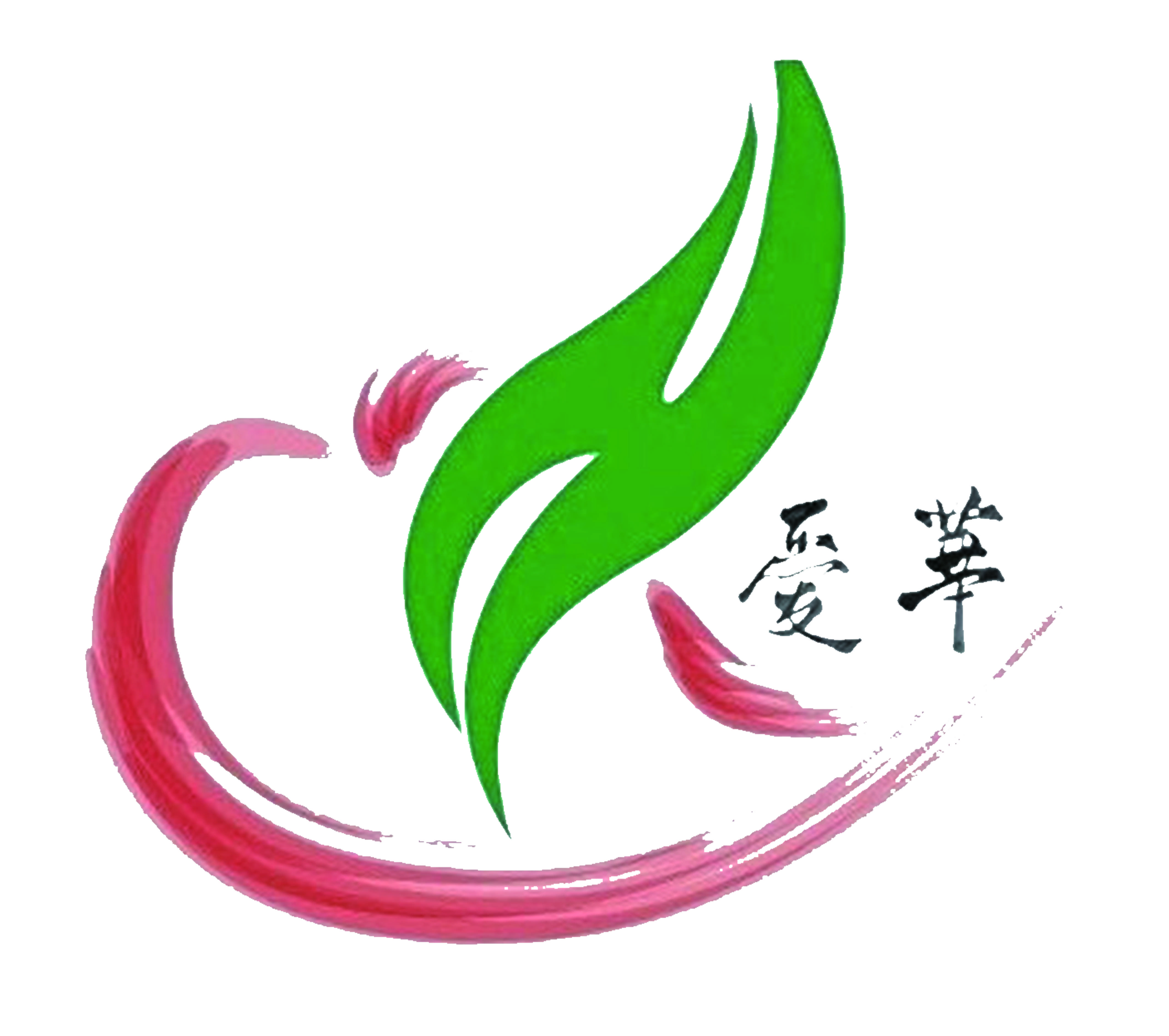愛(ài)華公益團(tuán)隊(duì)