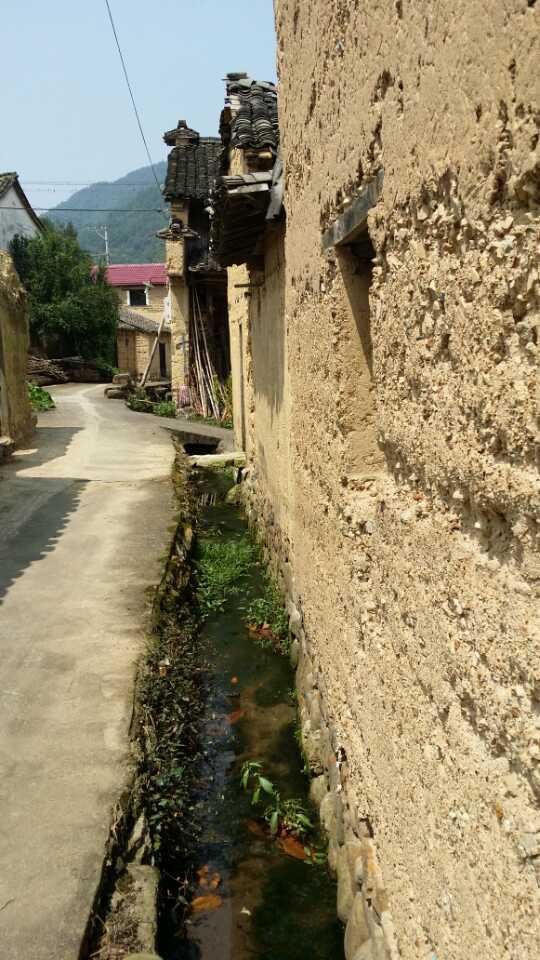 茅洋村