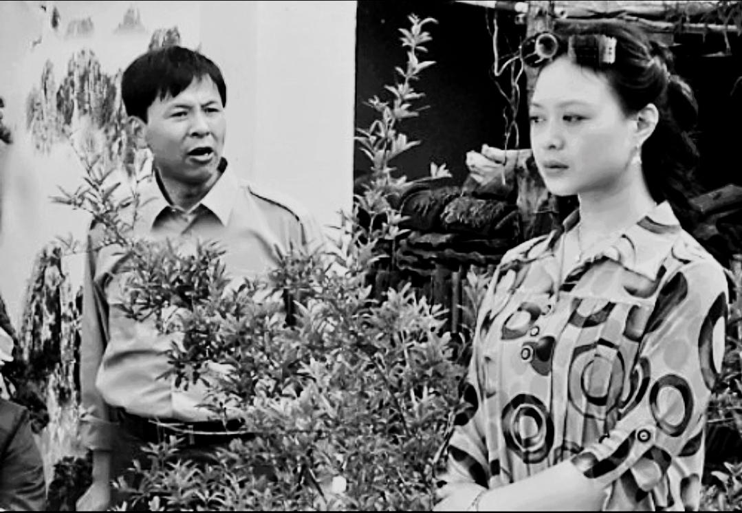 農(nóng)家媳婦