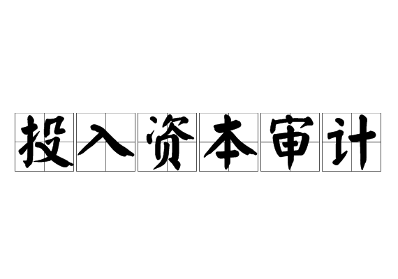 投入资本审计