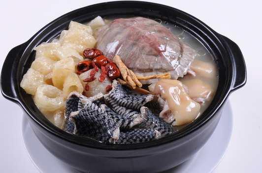 龜蛇湯