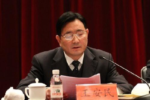 王安民