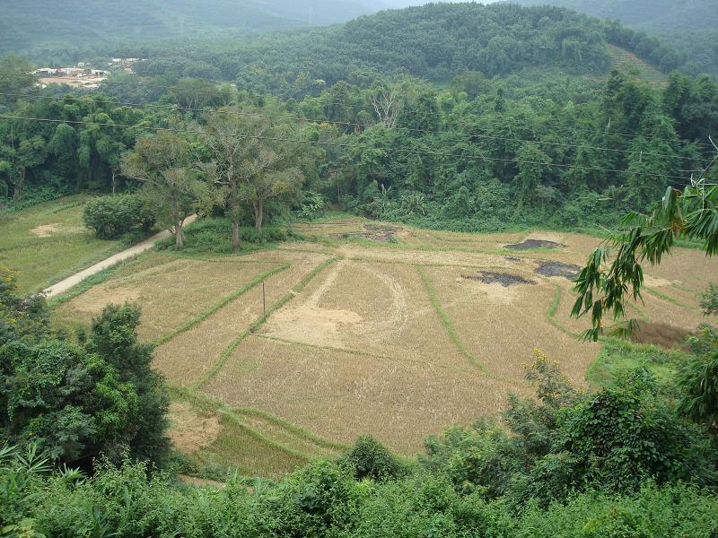 回洼村