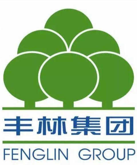 廣西豐林木業(yè)集團(tuán)股份有限公司