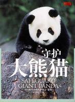 守护大熊猫